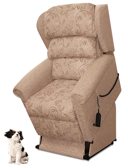 Chair-Dog